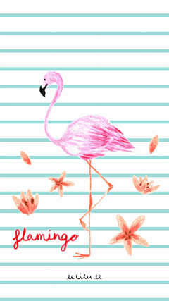 北谷町采集到Flamingos