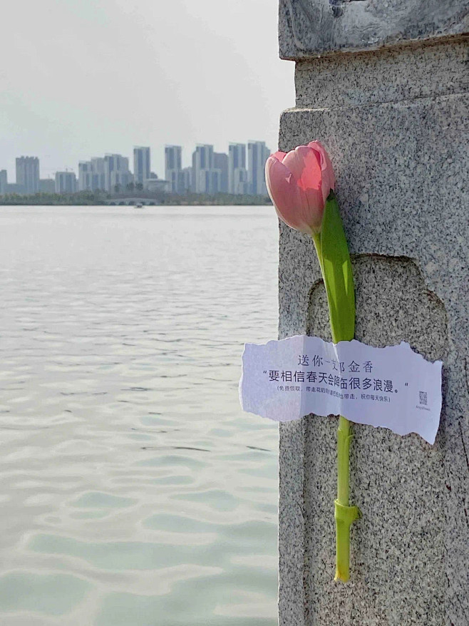 
春花如约而至，开得热热闹闹的，站在这样...