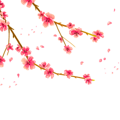 李现baby采集到中国风素材