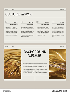 从开始到现在、/////采集到品牌相关