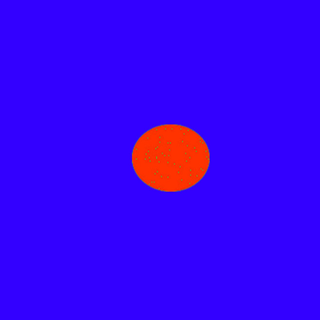 花球1