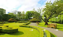 性质 植物 华丽的 花园 花壁纸 树篱 绿色 花朵 草地 灌木