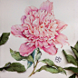 Peonie : Watercolor botanical art