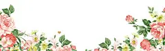 小清新玫瑰花壁纸jpg背景图_新图网 https://ixintu.com 清新 玫瑰花 壁纸