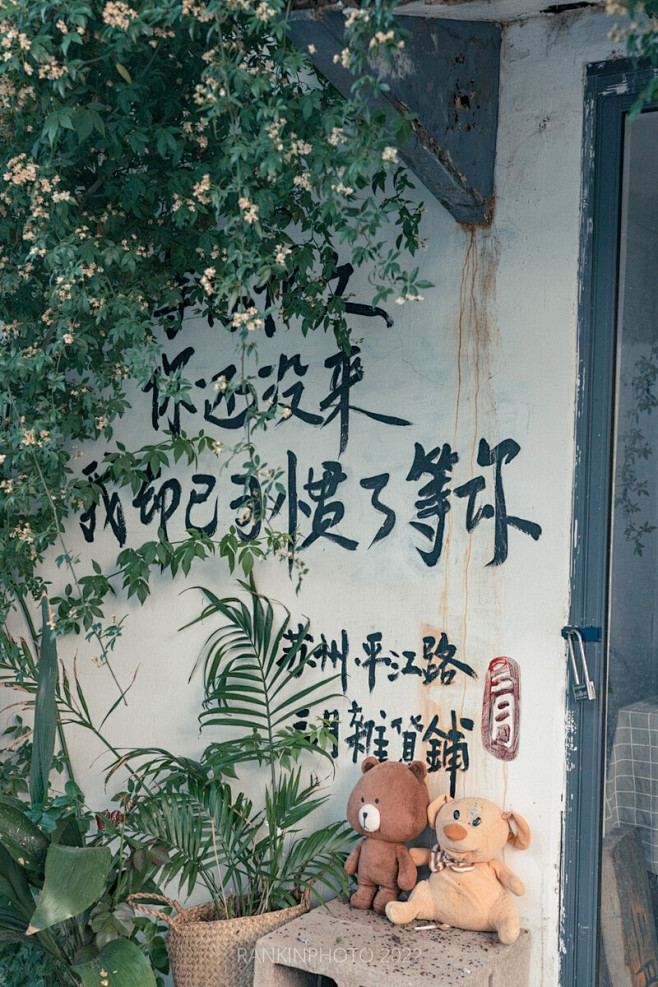 姑苏春日浪漫花事 - RANKIN- -...