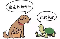 哇哇咔的哇咔咔采集到智障