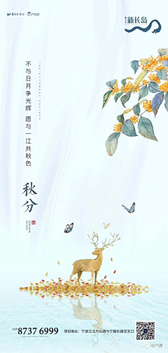 王册王册采集到中国风