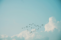 BixcAVZn采集到天空