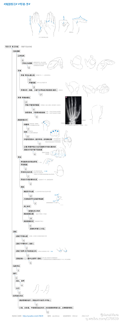 pandaneko采集到create