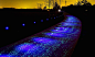 M206-starry-night-bike-path