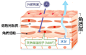 受损肌肤修复_360图片
