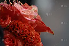 优雅的花束