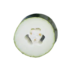 冬瓜-3