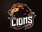 Oslo lion by Mateusz Putylo