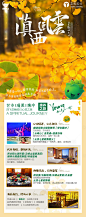 【源文件下载】 海报 旅游 长图 滇西 银杏叶 秋天