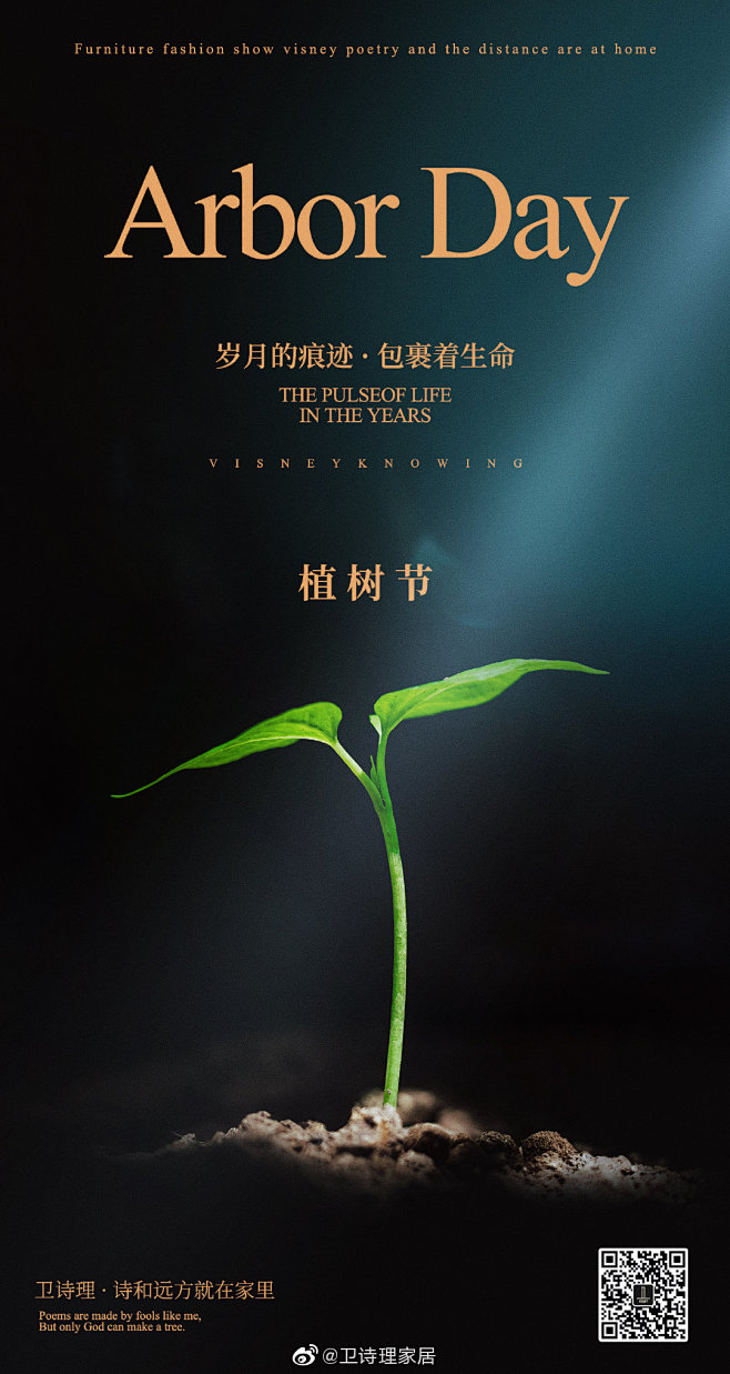 卫诗理家居的照片 - 微相册