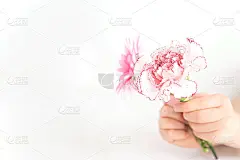 鲜花礼物。康乃馨和孩子们的手。