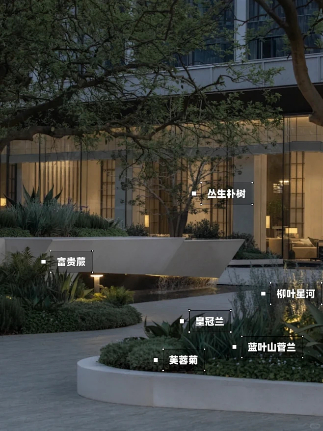 跟着染染看植物第5弹 | 武汉光谷润府 - 小红书图片_ZW-纯林空间图片素材-花瓣网