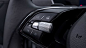 Skoda Octavia - steering wheel controls