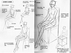 雅贤YY采集到【绘画-人体结构】肌肉