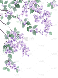 遇鹿采集到插画