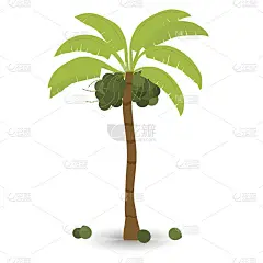 椰子树孤立