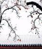踏雪寻梅，寻找国画意境