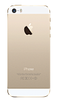 iphone5/5s/se 土豪金背面