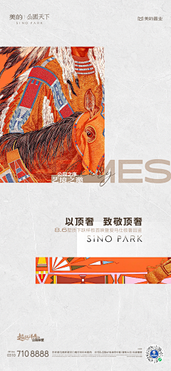 赏于修者·智采集到游泳