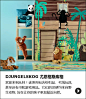 DJUNGELSKOG系列
