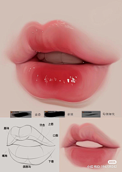 zevo40采集到学习