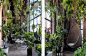 Greenery Unlimited Design Store [Brooklyn] : Greenery Unlimited is one of the first biophilic design store in the world, connecting a shopping space with natural environment. Surrounded by leaves and exotic plants, the visitors are invited to stroll aroun