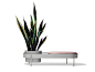 Bench with integrated planter ALBISOLA By Paola Zani design Büro Famos : Buy online Albisola By paola zani, bench with integrated planter design Büro Famos