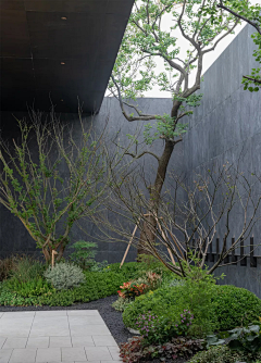 熊喵333采集到橱窗植物布景