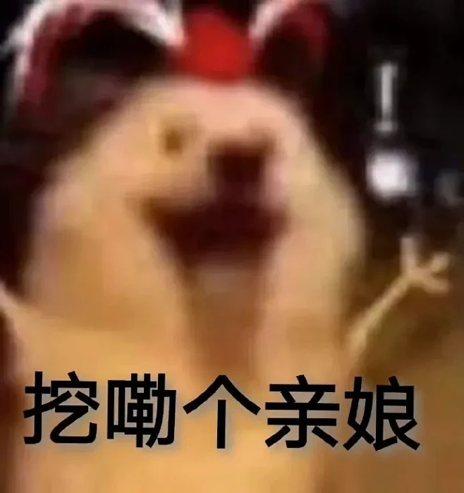 表情包分享~无水印聊天必备搞怪表情包~~...