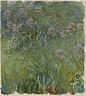 97-莫奈-Agapanthus, 1914-17