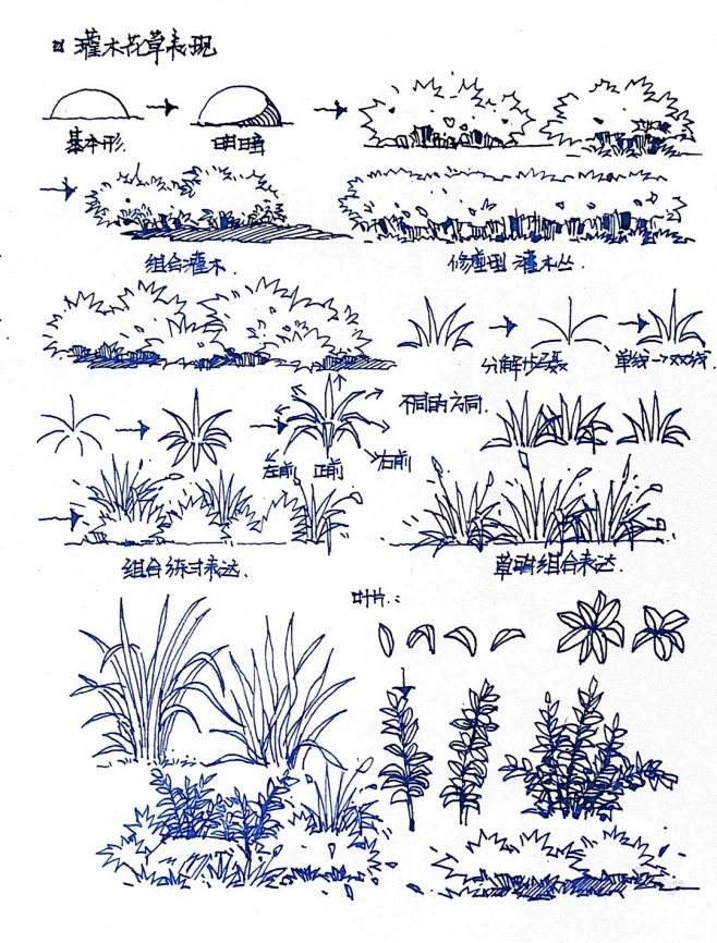 灌木花草无从下手？教你一种超简单画法_1_跟着彭彭画手绘_来自小红书网页版-花瓣网
