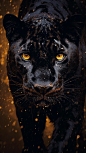 A sleek panther with amber eyes and raven-black fur, in the style of detailed atmospheric portraits, sparkling water reflections, hyper-detailed illustrations, wandering eye, Fujifilm Eterna Vivid 500T, honey-amber and ebony-black, intense close-ups