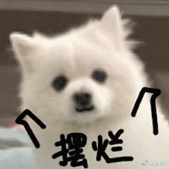 归玖₯采集到可爱