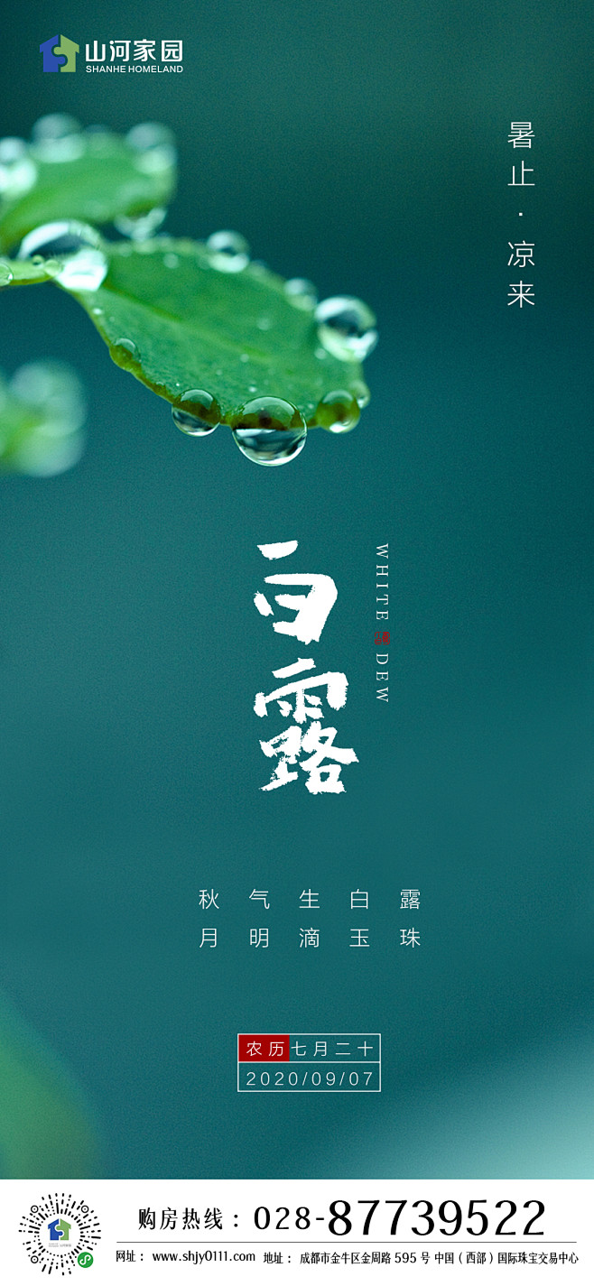 白露