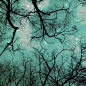 冬季 · 绿松石般的天空（660x660）