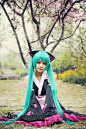 cosplay服装 VOCALOID初音未来COS服 miku樱花和服 cos服现货女装-淘宝网