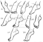 #SAI资源库# 100种不同的动态动漫脚部绘画参考。自己收藏练习，转需~