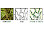 青岛龙湖 · 紫都城
在图形语言上，设计取材于自然界中我们所熟知的构图和形态。绿色有机、自然生长的设计语言贯穿始终，以树干形象来组织道路交通网络，从高层建筑望下，整个场地宛如蓬勃生长的森林。