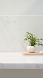 junwen2565_Close-up_A_very_clean_marble_table_Clean_white_wall__cb6d0c89-60e7-4ffb-a73a-ba032c4a0ea6