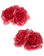 2X Rose Salon Clip | Pink | Accessorize