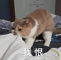 应姐妹们要求 开个表情包分享贴 来吧 展示 ... 来自马可阿菠萝赛东 - 微博