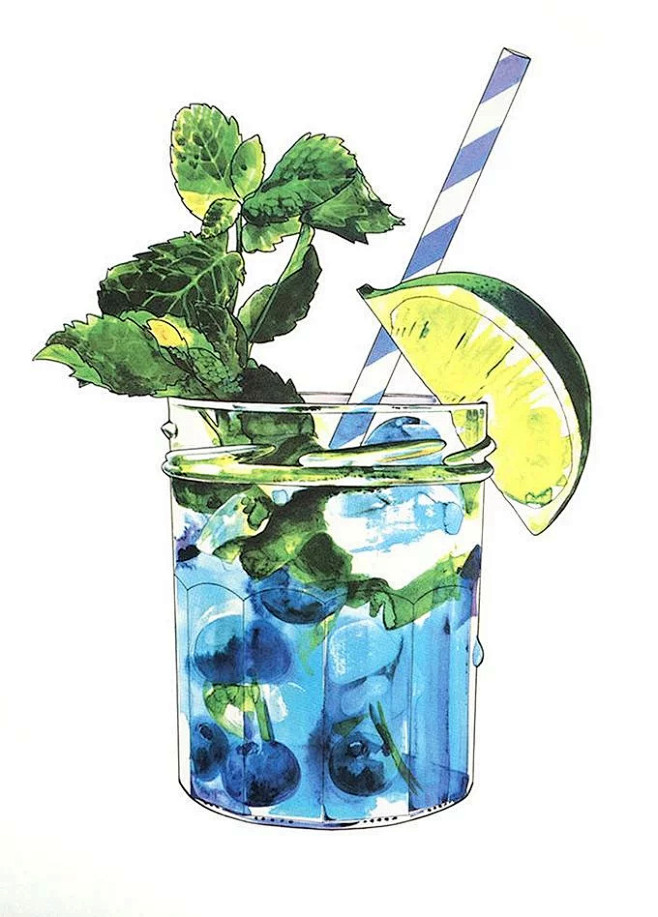 食品艺术精选Mojito waterco...