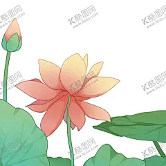 荷花元素 【酷图网】荷花元素,荷花,手绘荷花,荷花素材,荷花装饰,手绘元素,手绘素材,手绘装饰,花朵,花朵元素,花朵素材,花朵装饰,鲜花,鲜花元素,鲜花素材,植物,植物元素,植物素材,植物装饰,荷叶,荷叶元素,荷叶素材,水墨荷花