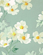 floral: 